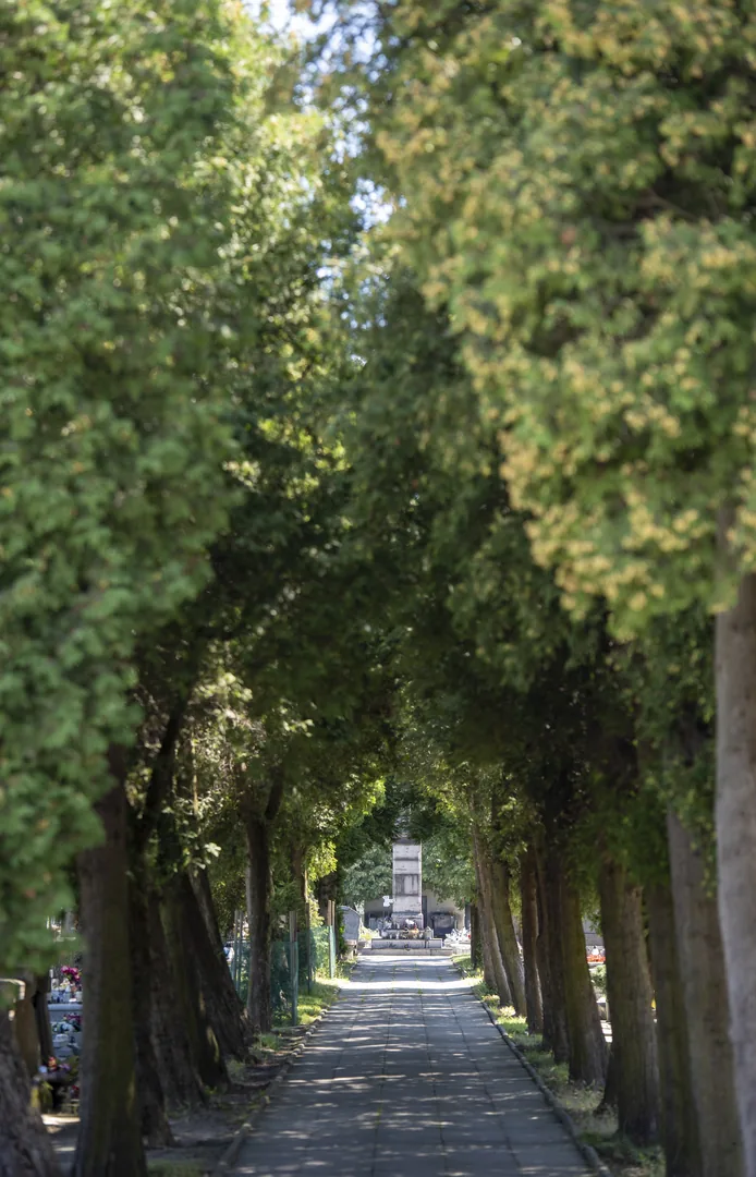 DOM Pogrzebowy KOMAX